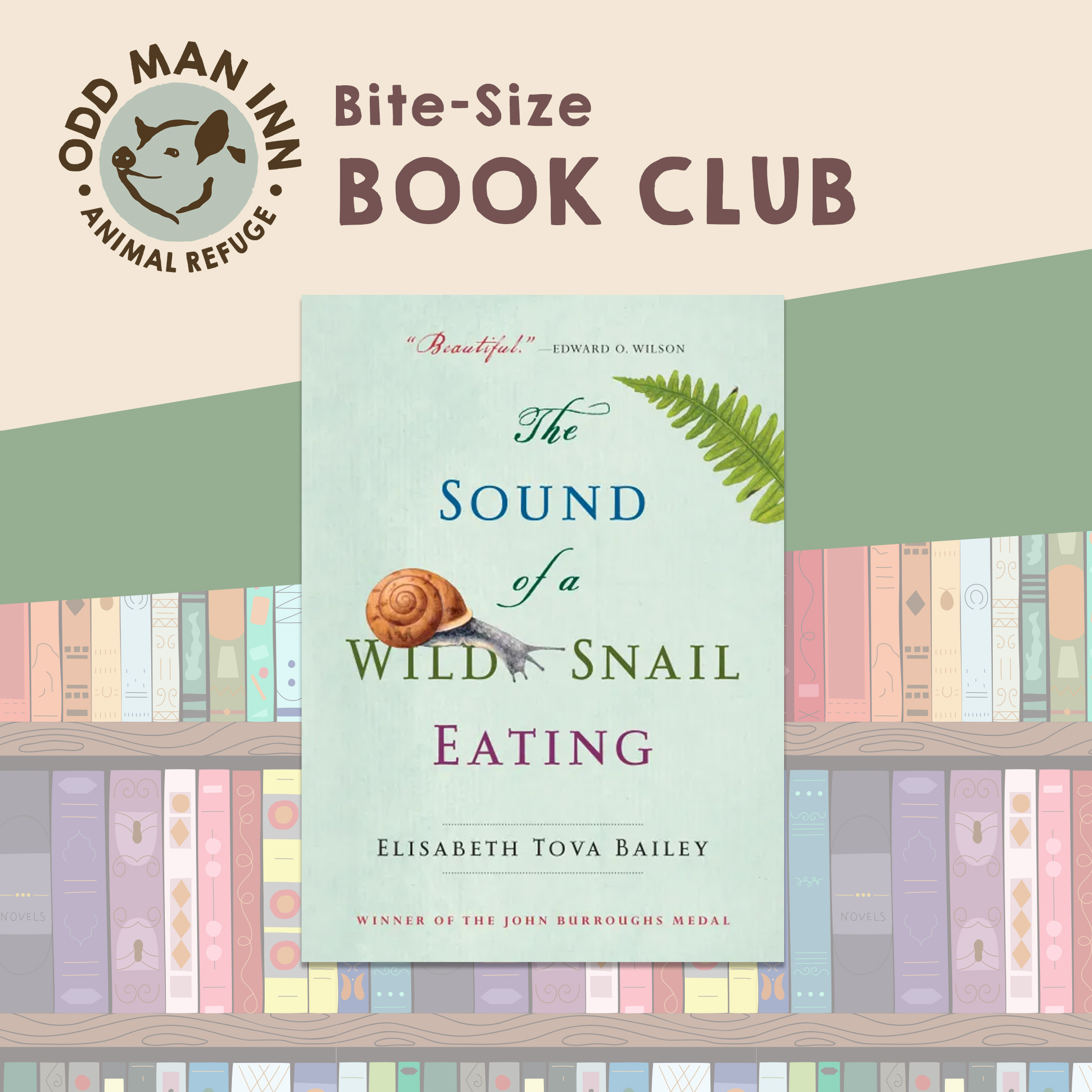Bite_Size_Book_Club_Sound_of_a_Wild_Snail_Eating